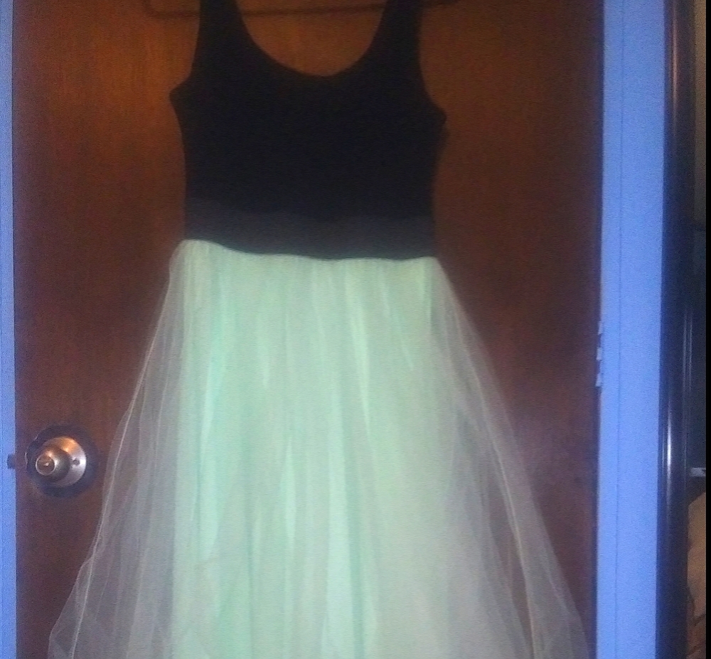 Medium Rue 21 black and green tulle dress.